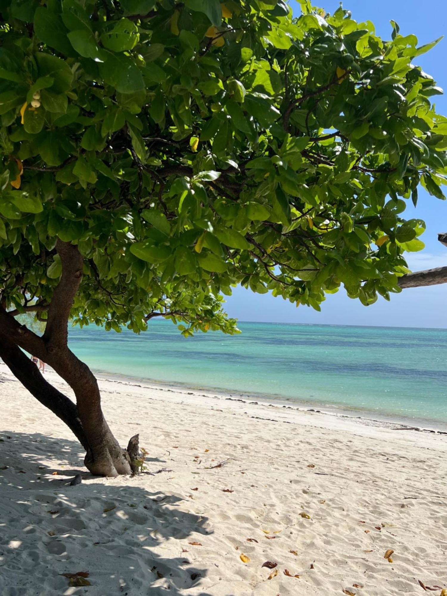 Ujamaa Beach Resort Makunduchi Luaran gambar