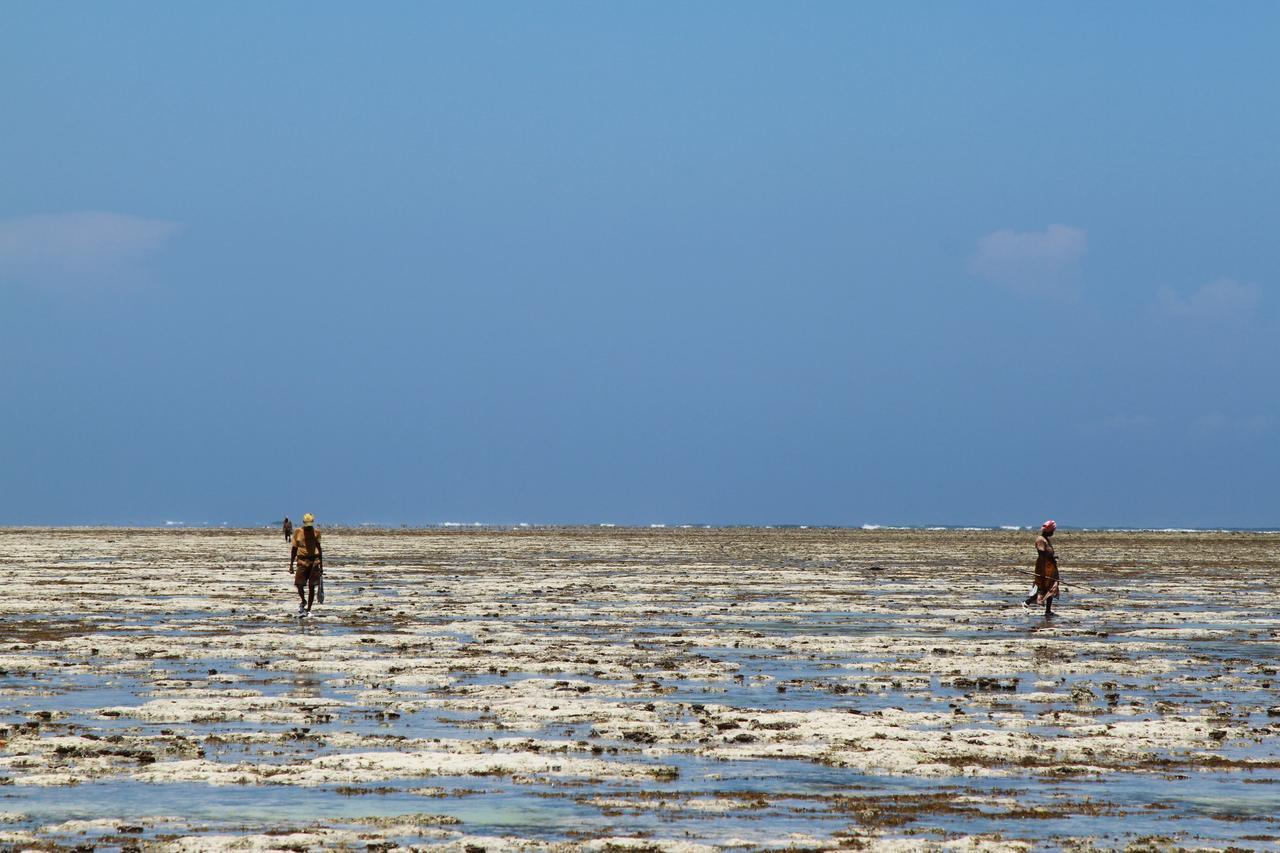 Ujamaa Beach Resort Makunduchi Luaran gambar