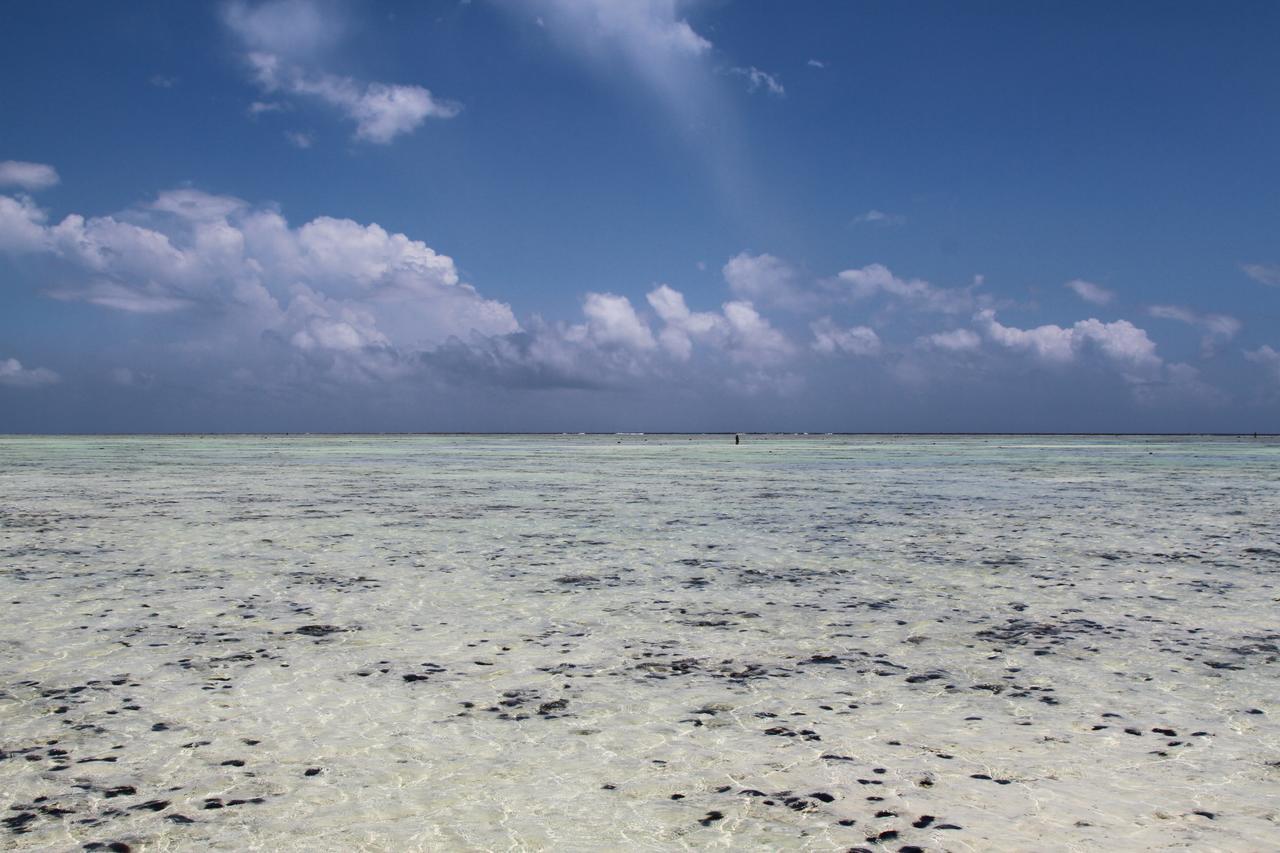 Ujamaa Beach Resort Makunduchi Luaran gambar