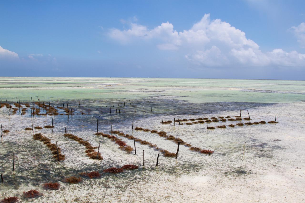 Ujamaa Beach Resort Makunduchi Luaran gambar